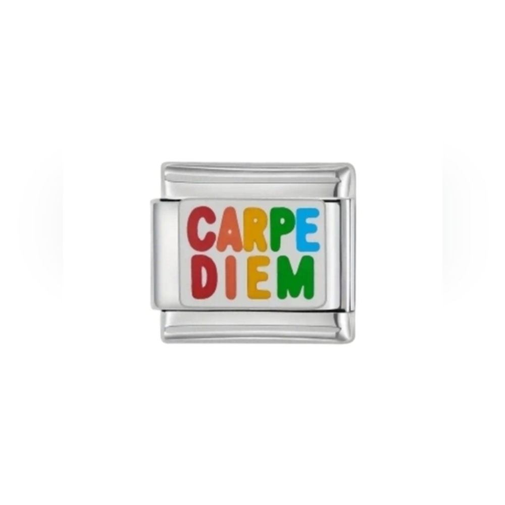 Italian Charmlink Carpe Diem for Charm Bracelet 9mm‎ Stainless Steel